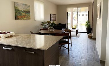 QUINTA DE ALLENDE I MODELO PINO