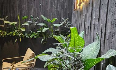 Departamento en Renta en Atena Urban Living PH Tipo Loft Doble Altura