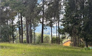 Venta de Hermoso Lote en El Retiro con Vista a La Represa de la Fe