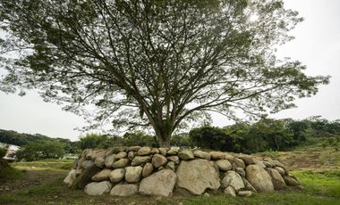 LOTE EN VENTA EN CONJUNTO CERRADO SANTGUEDA PALESTINA | VENTA LOTE