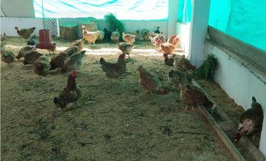 SE VENDE PARCELA EN EL ALTO LOS PADRES BUCARAMANGA SANTANDER