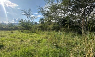 VENTA LOTE LA SIRIA  - SUROESTE ANTIOQUEÑO AMAG