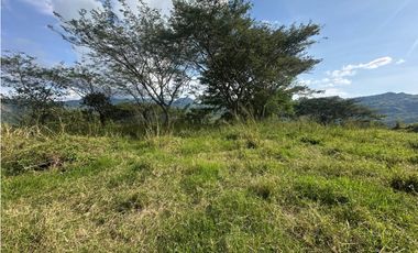VENTA LOTE LA SIRIA  - SUROESTE ANTIOQUEÑO AMAG
