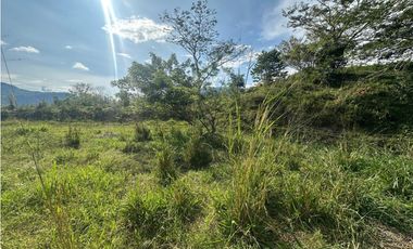 VENTA LOTE LA SIRIA  - SUROESTE ANTIOQUEÑO AMAG