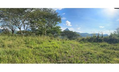 VENTA LOTE LA SIRIA  - SUROESTE ANTIOQUEÑO AMAG