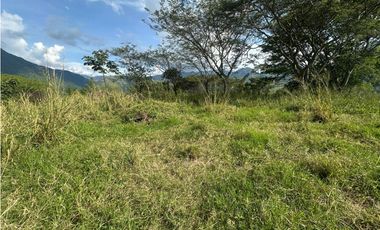 VENTA LOTE LA SIRIA  - SUROESTE ANTIOQUEÑO AMAG