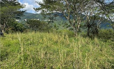 VENTA LOTE LA SIRIA  - SUROESTE ANTIOQUEÑO AMAG