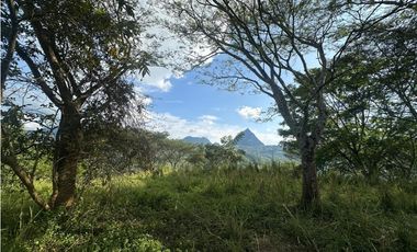 VENTA LOTE LA SIRIA  - SUROESTE ANTIOQUEÑO AMAG