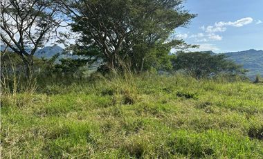 VENTA LOTE LA SIRIA  - SUROESTE ANTIOQUEÑO AMAG