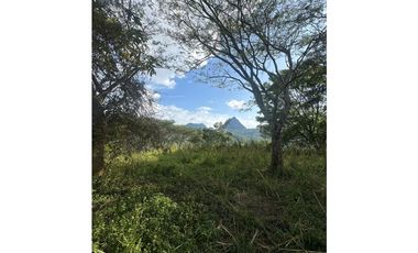 VENTA LOTE LA SIRIA  - SUROESTE ANTIOQUEÑO AMAG