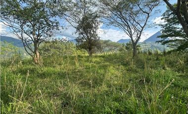 VENTA LOTE LA SIRIA  - SUROESTE ANTIOQUEÑO AMAG