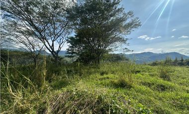 VENTA LOTE LA SIRIA  - SUROESTE ANTIOQUEÑO AMAG