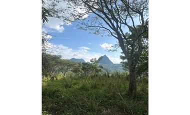 VENTA LOTE LA SIRIA  - SUROESTE ANTIOQUEÑO AMAG