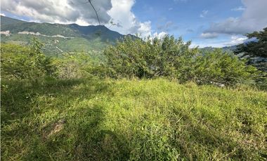 VENTA LOTE LA SIRIA  - SUROESTE ANTIOQUEÑO AMAG