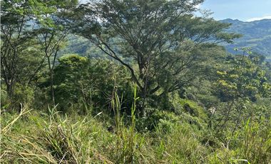 VENTA LOTE LA SIRIA  - SUROESTE ANTIOQUEÑO AMAG