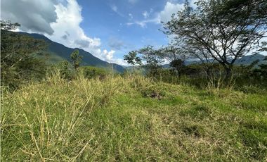 VENTA LOTE LA SIRIA  - SUROESTE ANTIOQUEÑO AMAG