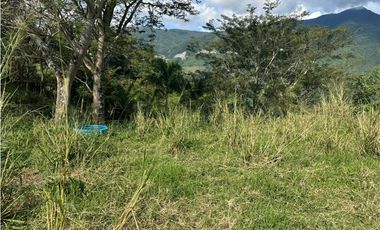 VENTA LOTE LA SIRIA  - SUROESTE ANTIOQUEÑO AMAG