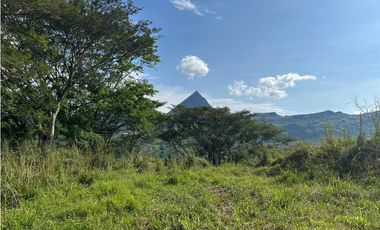 VENTA LOTE LA SIRIA  - SUROESTE ANTIOQUEÑO AMAG