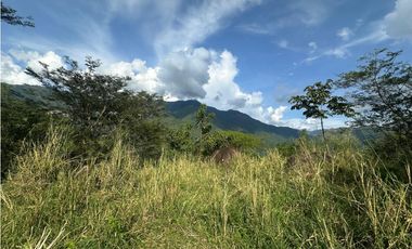 VENTA LOTE LA SIRIA  - SUROESTE ANTIOQUEÑO AMAG