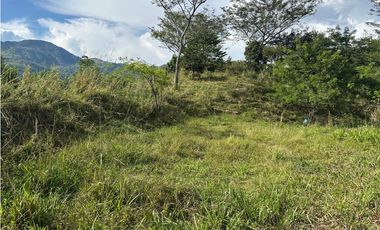 VENTA LOTE LA SIRIA  - SUROESTE ANTIOQUEÑO AMAG