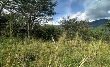 VENTA LOTE LA SIRIA  - SUROESTE ANTIOQUEÑO AMAG