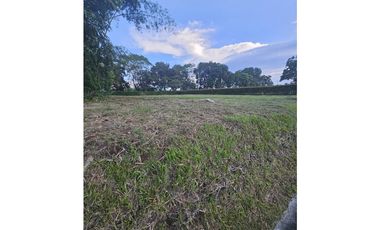 🚩LOTES CAMPESTRE  EN CERRITOS - EL TIGRE