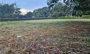 🚩LOTES CAMPESTRE  EN CERRITOS - EL TIGRE