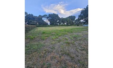 🚩LOTES CAMPESTRE  EN CERRITOS - EL TIGRE