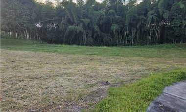 🚩LOTES CAMPESTRE  EN CERRITOS - EL TIGRE