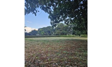 🚩LOTES CAMPESTRE  EN CERRITOS - EL TIGRE