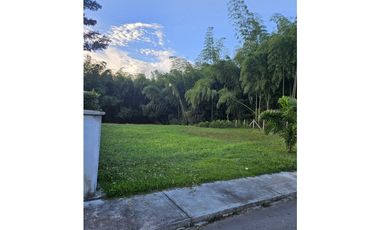 🚩LOTES CAMPESTRE  EN CERRITOS - EL TIGRE