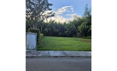 🚩LOTES CAMPESTRE  EN CERRITOS - EL TIGRE