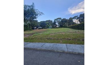 🚩LOTES CAMPESTRE  EN CERRITOS - EL TIGRE