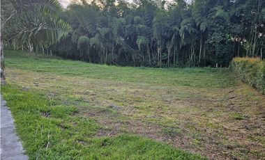 🚩LOTES CAMPESTRE  EN CERRITOS - EL TIGRE