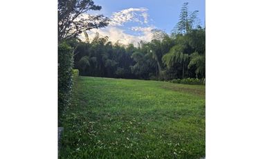 🚩LOTES CAMPESTRE  EN CERRITOS - EL TIGRE