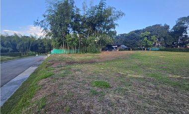 🚩LOTES CAMPESTRE  EN CERRITOS - EL TIGRE