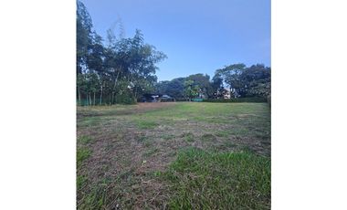 🚩LOTES CAMPESTRE  EN CERRITOS - EL TIGRE