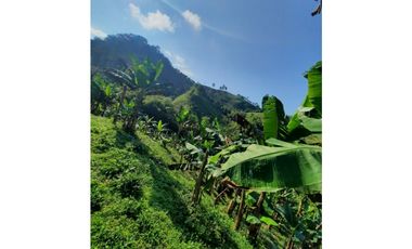 Fínca  Multiproposito en Combia Pereira; A  Solo 10  Minutos de Combia