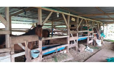 Casa  Campestre en Pereira, Sector  Combia.