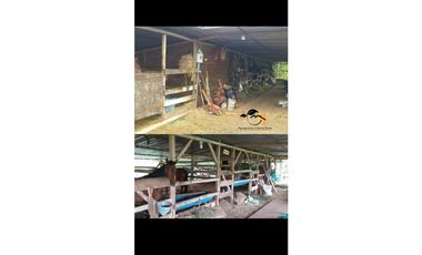 Casa  Campestre en Pereira, Sector  Combia.