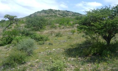 RANCHO GANADERO EN VENTA  CERCA DE COLÓN QUERÉTARO