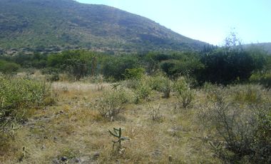 RANCHO GANADERO EN VENTA  CERCA DE COLÓN QUERÉTARO