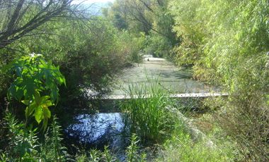 RANCHO GANADERO EN VENTA  CERCA DE COLÓN QUERÉTARO