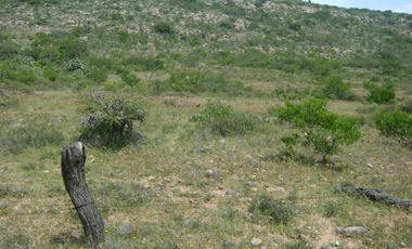 RANCHO GANADERO EN VENTA  CERCA DE COLÓN QUERÉTARO