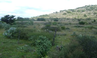 RANCHO GANADERO EN VENTA  CERCA DE COLÓN QUERÉTARO