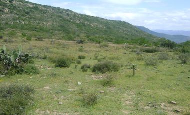 RANCHO GANADERO EN VENTA  CERCA DE COLÓN QUERÉTARO