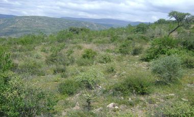 RANCHO GANADERO EN VENTA  CERCA DE COLÓN QUERÉTARO