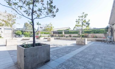 Presidente Balmaceda [272-6]