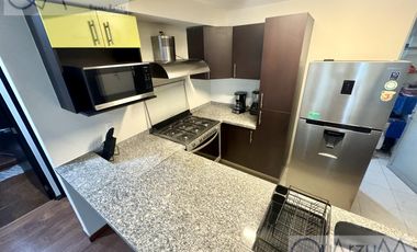 SUPER DEPARTAMENTO AMUEBLADO EN RENTA EN COLONIA NÁPOLES, MUY BIEN UBICADO