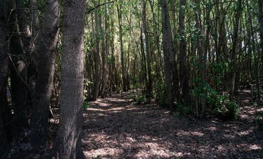 2,49 hectáreas con casa lista para vivir camino a río Claro